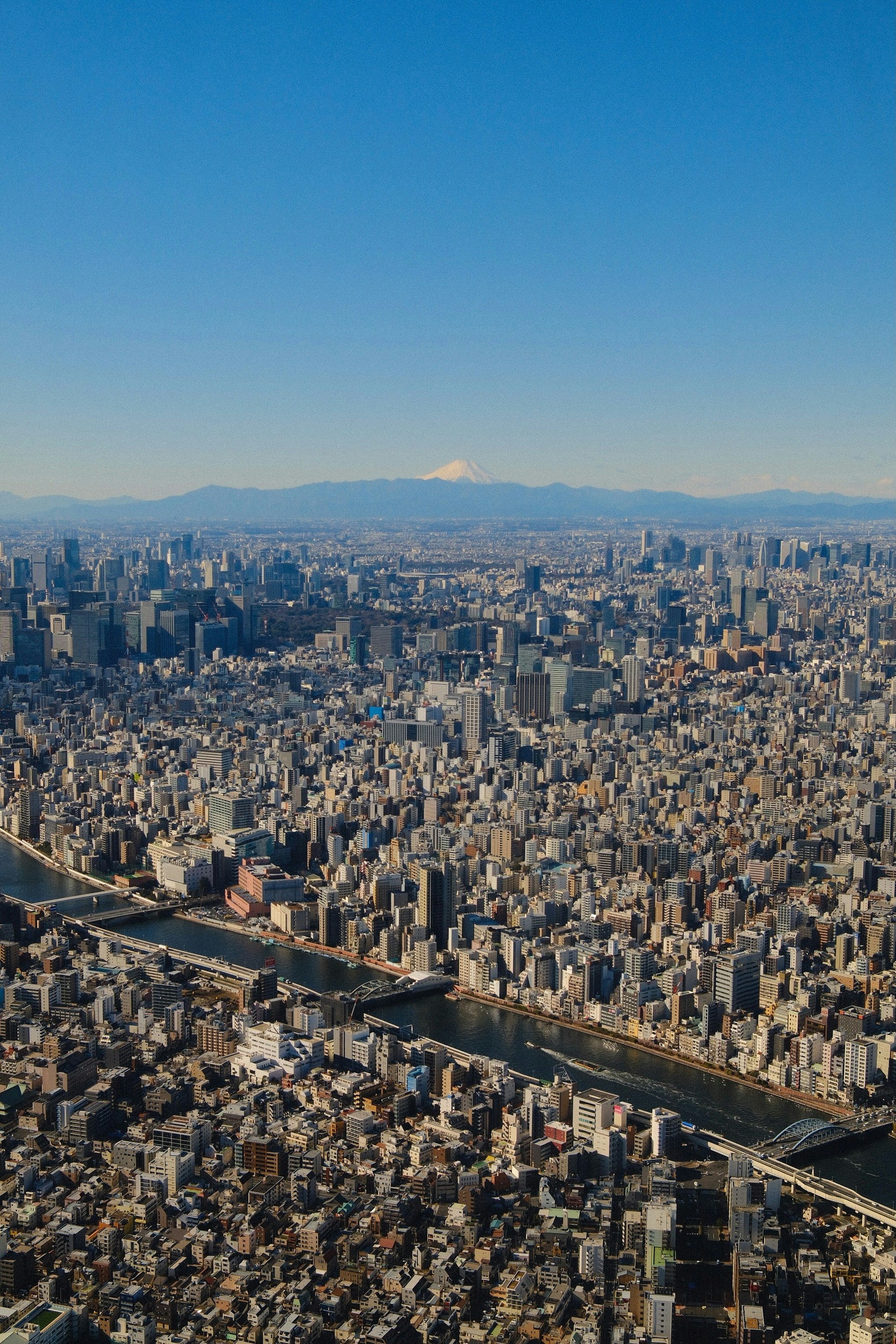Tokyo Horizon  Urbanes Herz trifft Ewigkeit