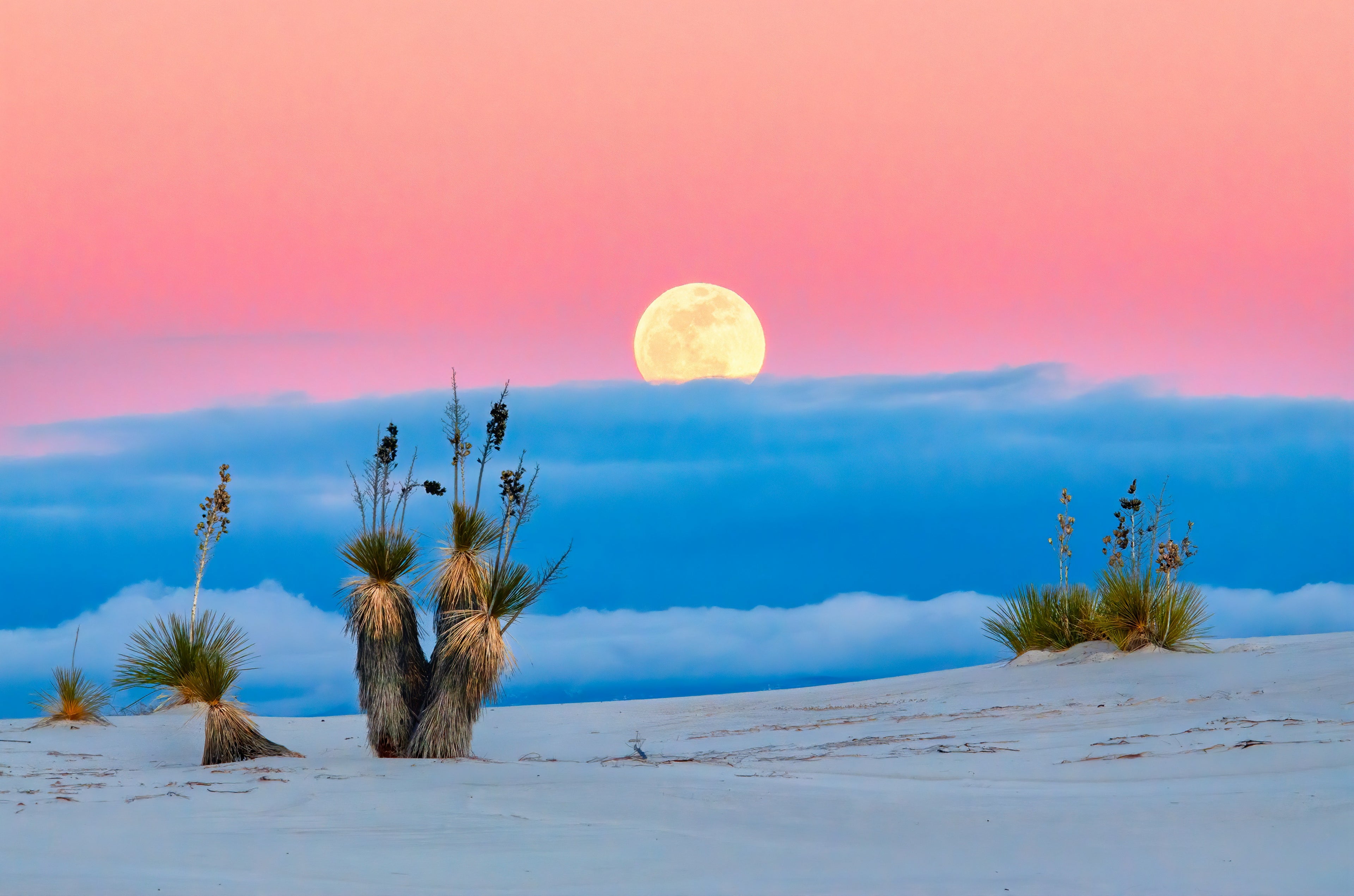 Desert Moonrise – Magie in Pastell
